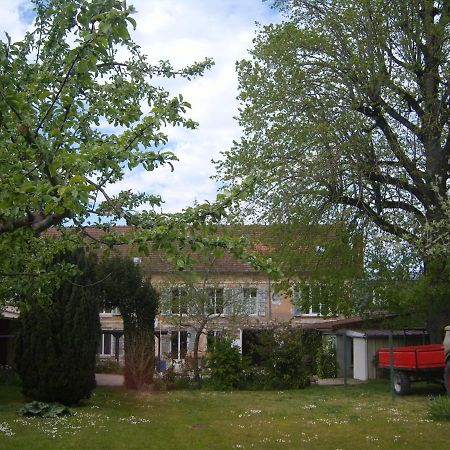 Gite Du Vieux Tilleul Fère-en-Tardenois Zewnętrze zdjęcie