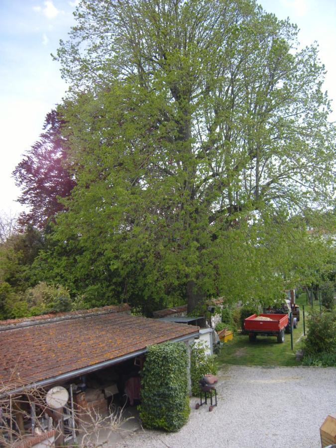 Gite Du Vieux Tilleul Fère-en-Tardenois Zewnętrze zdjęcie